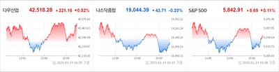 25/01/15 미국주식 특징주