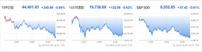 24/12/10 미국주식 특징주