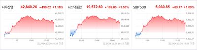 24/12/20 미국주식 특징주