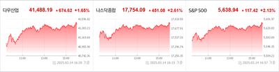 25/03/15 미국 특징주