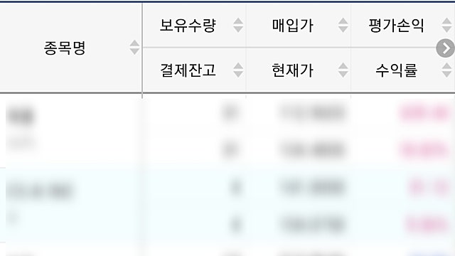 미국 주식 수익률 1000%의 추억(feat : 서울시 드론 사업)