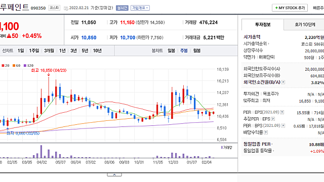 노루페인트 반도체와 이차전지 소재 진출
