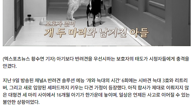 정말 혐오스러운 애견녀