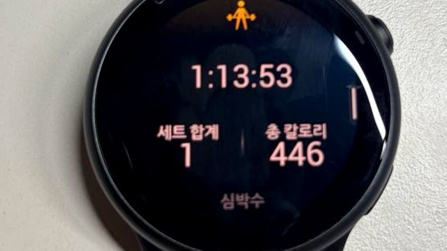 [운동] PT