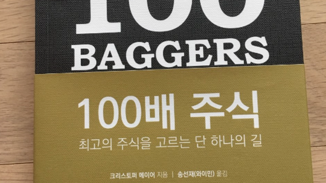 11. 100배 주식 - 크리스토퍼 메이어