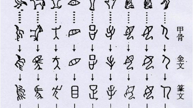 생각하지 않는 사람들 / 니콜라스 카 (26.03.25)