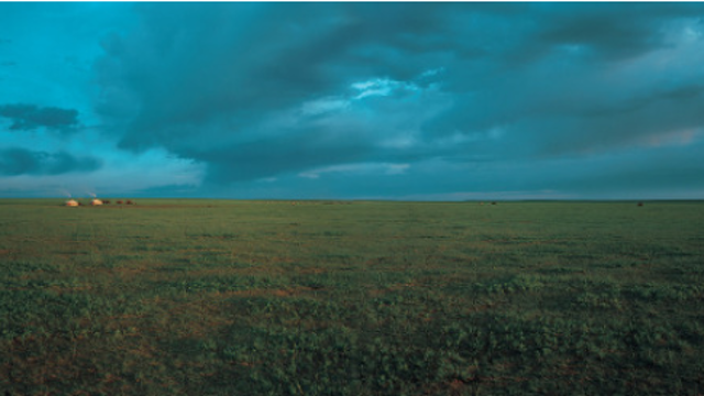 행복한 개인이 되자 / 진민영 (25.12.31)