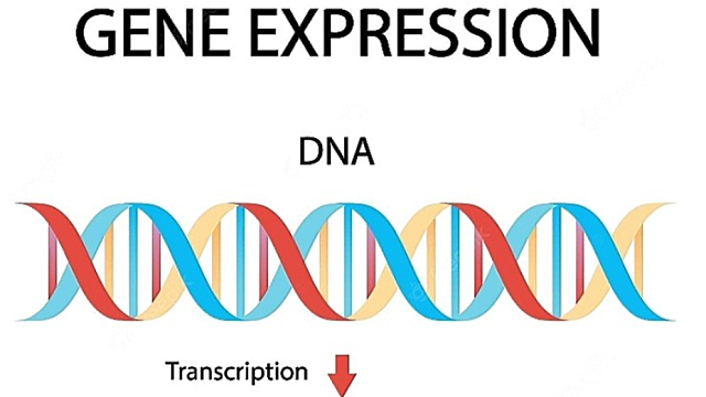 RNA 치료제 시장 확대…에스티팜, 3월에만 955억 수주