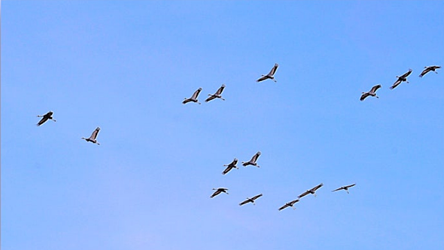 K뷰티 의견 By HSBC