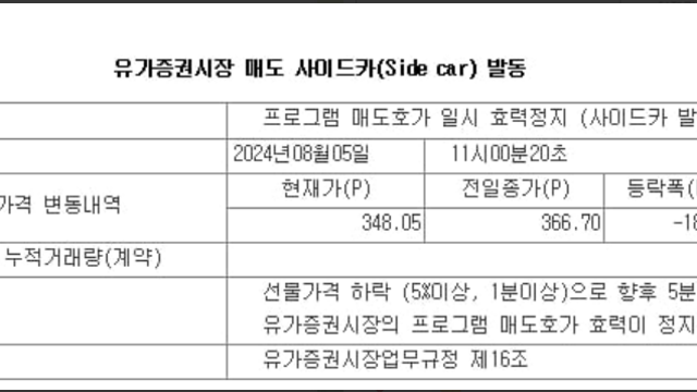 휴가지에서 폭락 (24.08.05)
