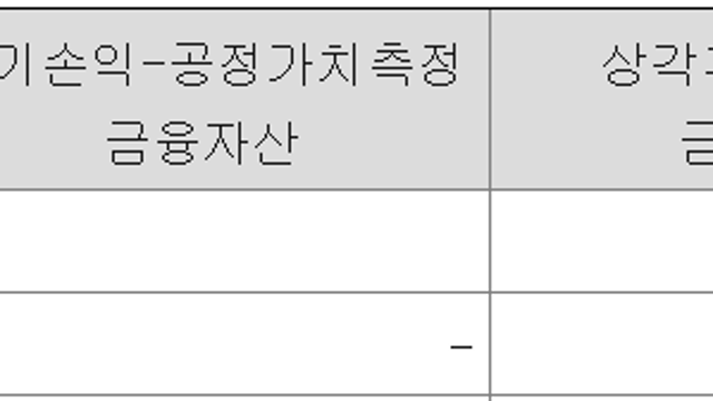 [기업 F/up] 더 네이쳐 홀딩스 (재무)