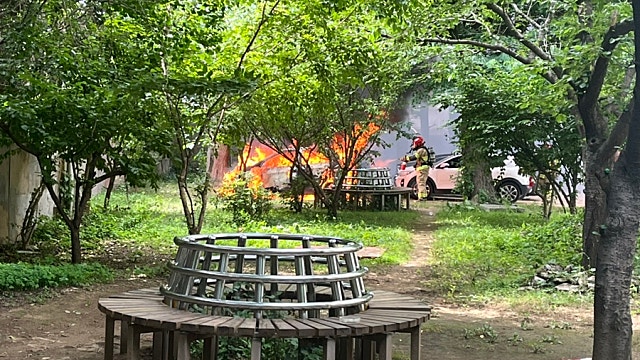 [육아휴직 WEEK30~43] 아나필락시스, 과몰입, 일상의 루틴들, 일상, 주식성과, 지수상승률, 블랙스완