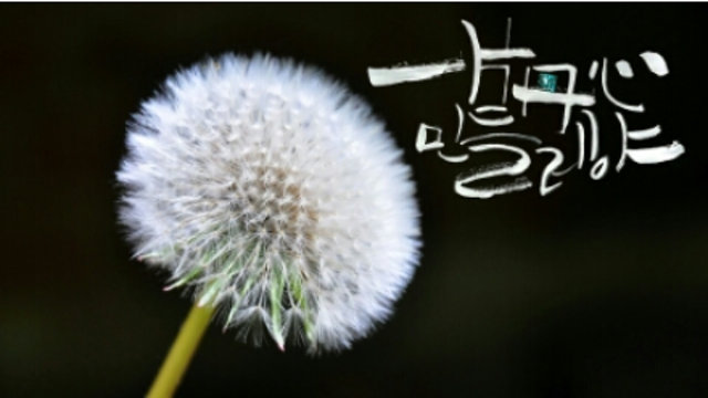 시장이 좋아하는 종목들 (Feat.굿트레이더)