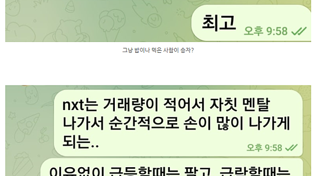 NXT는 정규장이 아니다. (Feat.피터케이)