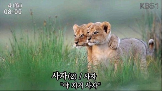 아무튼, 피트니스 / 류은숙 (25.11.03)