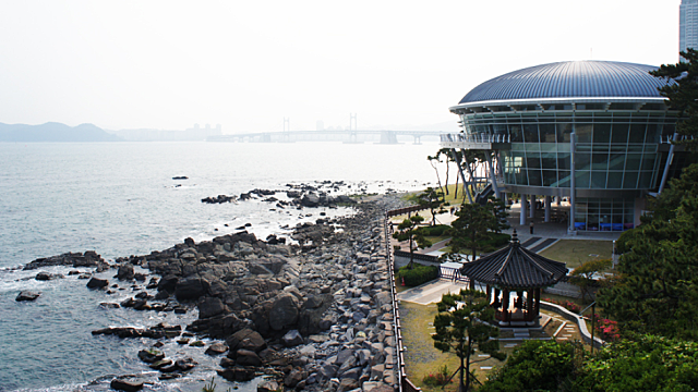 투자자 만남 (With 캬오)