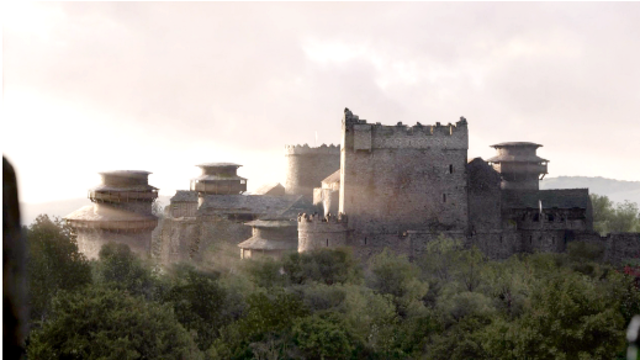 경제적 해자 / 팻 도시 (26.01.05)