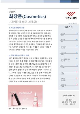 KMU_WYVERN_화장품_산업분석