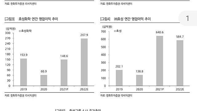 [레포트]효성그룹(효성티앤씨,효성첨단소재,효성화학,효성)