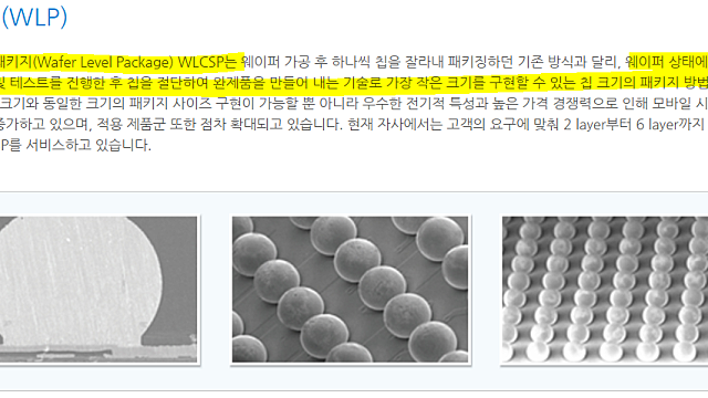 (직접 공부한)엘비세미콘: 20년 9월에 이어 21년 9월 시설투자 공시. 이제 매출 상승만 남았다