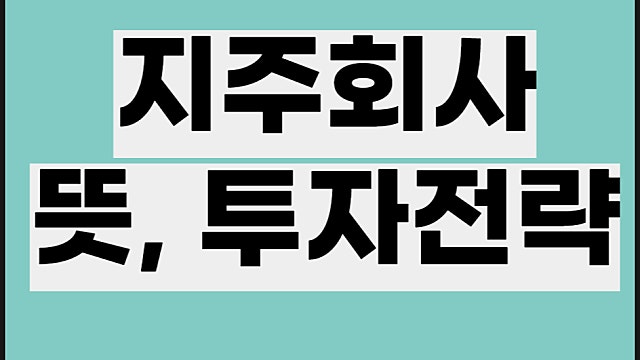 지주회사 뜻, 투자 전략 참고사항