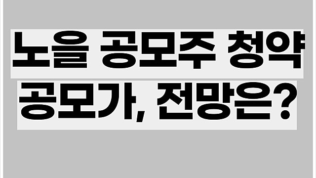 노을 공모주 청약 공모가, 전망 괜찮을까