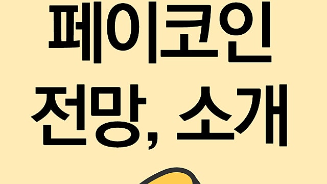페이코인 전망 소개, PCI 코인 전망