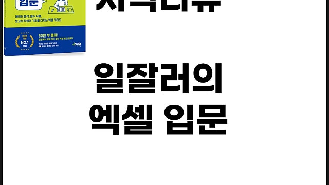 실무에 바로 쓰는 일잘러의 엑셀 입문 서평