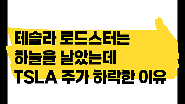 테슬라 로드스터는 하늘을 날았는데 TSLA 주가는 하락한 이유