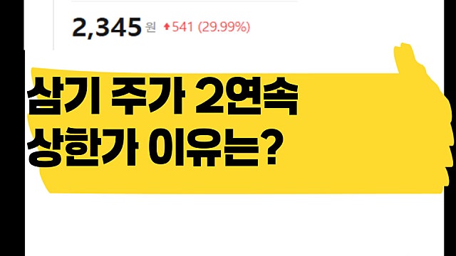 삼기 주가 2연속 상한가 이유, 어떤 기업이길래?