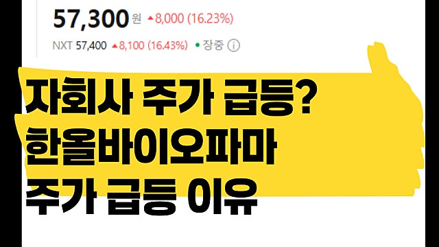 자회사 주가 급등으로 한올바이오파마도 주가 급등? 이유는