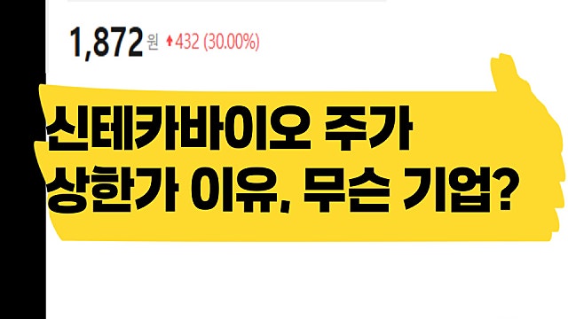 신테카바이오 주가 상한가 이유, 어떤 기업?