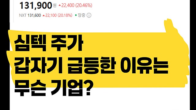 반도체 소부장 기업, 심텍 주가 오늘 급등한 이유는