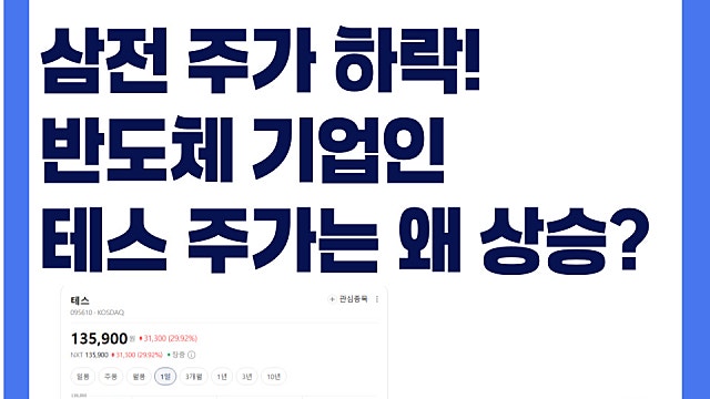 삼전 주가 하락하는데도 불구하고 반도체 기업인 테스 주가는 왜 상승?
