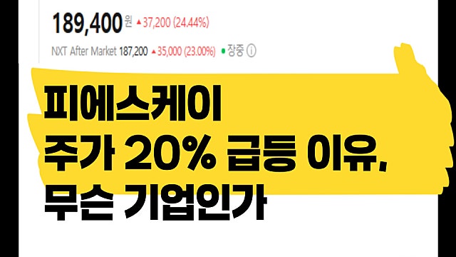 피에스케이 주가 20% 급등 이유, 무슨 기업인가