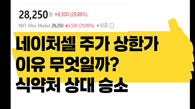 식약처 상대로 1심 승소한 네이처셀 주가 상한가 이유