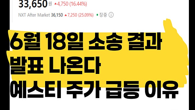 6월 18일 소송 결과 발표, 예스티 주가 상한가 이유