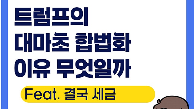 트럼프의 대마초 합법화 이유는 무엇일까(Ft. 결국 세금)