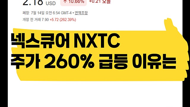 넥스큐어 NXTC 주가 260% 급등 이유는, 합병 이슈