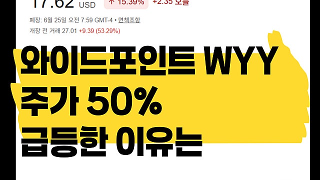 와이드포인트 WYY 주가 50% 급등한 이유는(Ft. 정부수주)