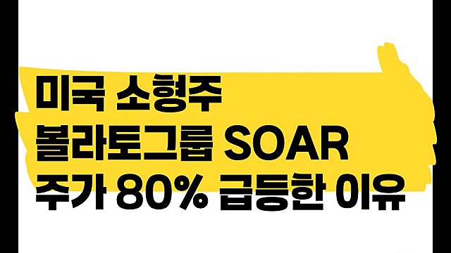 미국 소형주 볼라토그룹 SOAR 주가 80% 급등한 이유