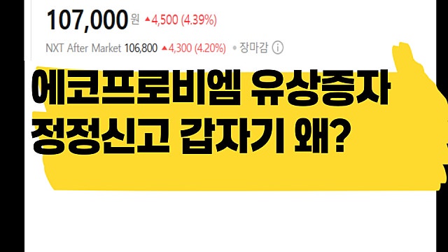 에코프로비엠 1.2조 유상증자 정정 신고, 갑자기 왜?
