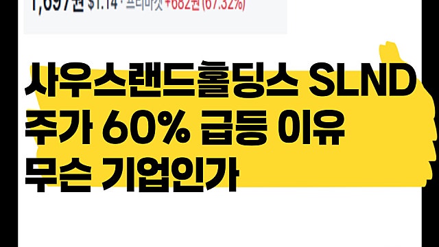 사우스랜드홀딩스 SLND 주가 60% 급등 이유, 무슨 기업?