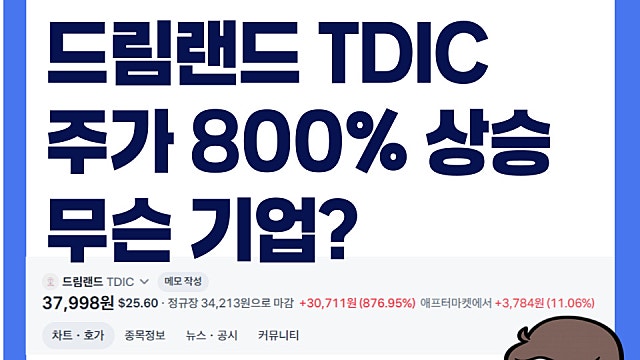 하루 800% 급등한 드림랜드 TDIC 주가, 무슨 기업일까