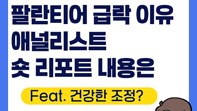 팔란티어 PLTR 급락 이유, 애널리스트 숏 리포트 내용은