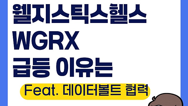 웰지스틱스헬스 WGRX 급등 이유는(Ft. 데이터볼트)
