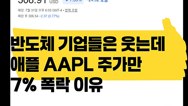 반도체 기업들은 웃었지만, 애플 APPL 주가만 7% 하락한 이유
