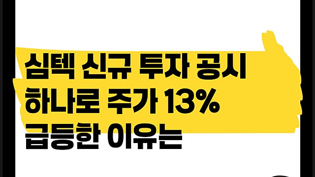 심텍 신규 투자 공시 하나로 주가 13% 급등한 이유