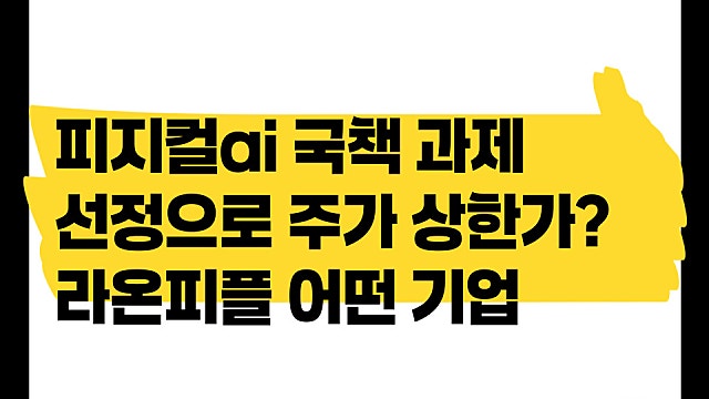 피지컬AI 국책과제 선정으로 주가 상한가? 라온피플 어떤 기업일까