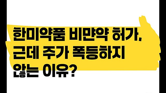 한미약품 비만신약 허가에도 주가 폭등하지 않는 이유(Ft.에페)